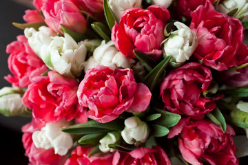 Fototapeta premium large bouquet of tulips