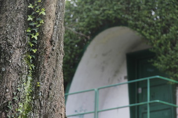 Parque
