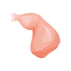Raw chicken leg, part of chicken carcass vector Illustration on a white background