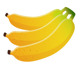 Bananas bunch, vector illustration, isolated on white background