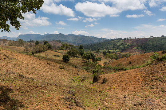 Die Usambara Berge - Tansania - Afrika