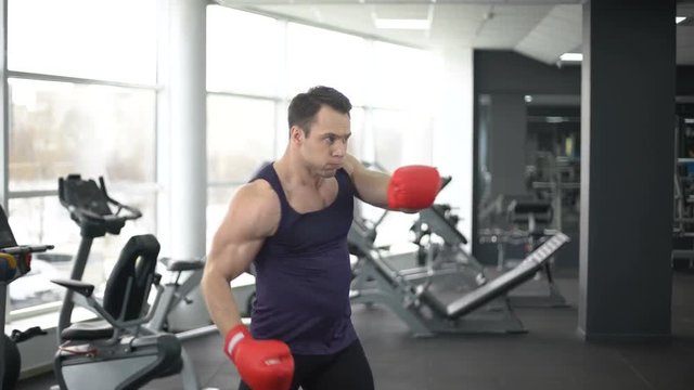 Male boxer in gloves training in gym, punch and uppercut set, sport spirit