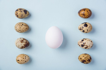 Beautiful spotted fresh quail eggs on a blue paper background