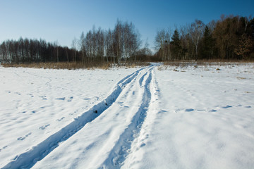 Obraz premium Dirt road covered with snow and a forest