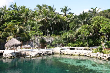 beautiful waterside in mexico