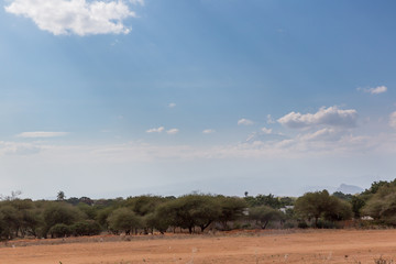 Fototapeta na wymiar Savanne - Afrika
