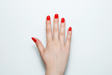 Female palm with red nails painted on a white background