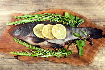 Fresh fish with herbs and lemon before cooking