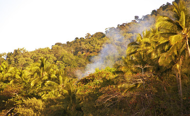 Cairns-Port Douglas Coast, Australia