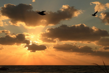 海に沈む夕日と光芒　The sunset and Angel's ladder	