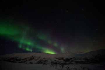 Fototapeta na wymiar Polarlicht - Norwegen