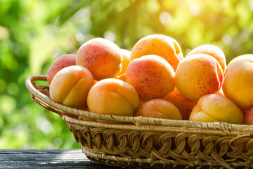 Part of wicker basket apricot on a green background. Daylight