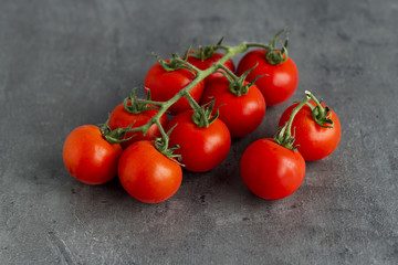 Branch of ripe red tomatoes