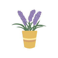 Lavender in flower pot icon. Blooming fragrant violet flowers or herb in pot. Provence floral vector illustration isolated on white.