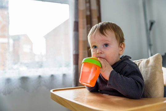 Indoor Portrait Of Baby Drinking Water From Orange Beaker Cup