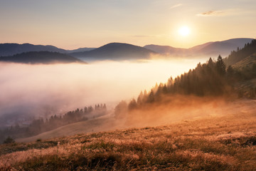 Landcape with sun, meadow, forest and mountain. - obrazy, fototapety, plakaty