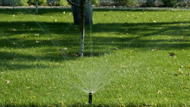 Garden irrigation. Automatic sprinkler watering system for plants and lawn. HD