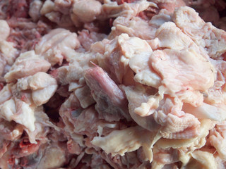 chicken meat