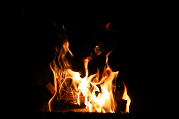 Tongues of flame of fire of orange-yellow color from burning fir