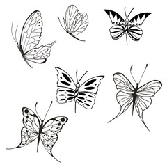 set of beautiful ink butterfly silhouettes on white background