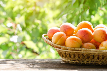 Wicker basket apricot on a green background. Daylight