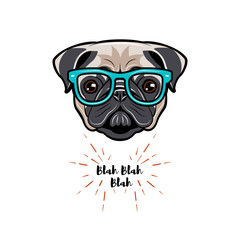 Cute portrait of nerdy Pug dog.  illustration isolated on white