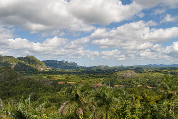 Fototapeta na wymiar Village at the foot of the mountains in the valley of Vinales in Cuba. Farmers' huts and arable fields. Green palm trees and mogot mountain in the Vinales valley.