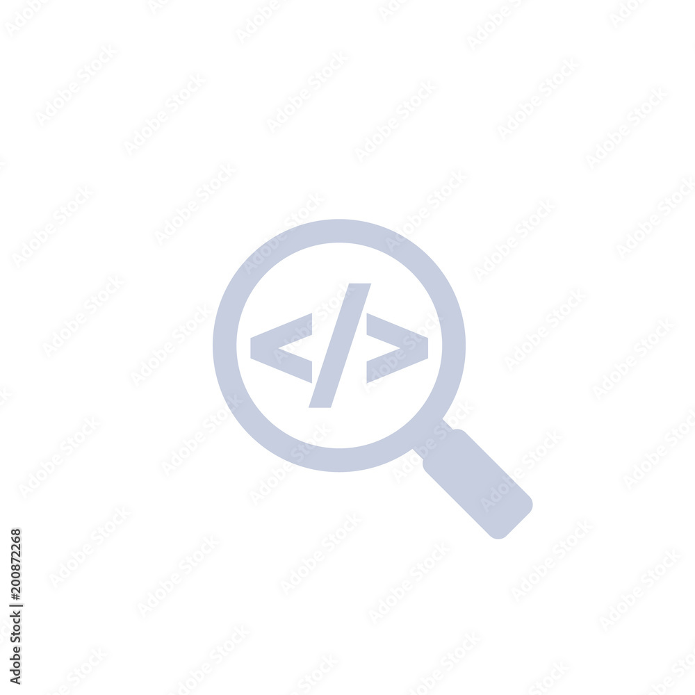 Poster code review vector icon on white