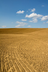 Spring countryside with plowed field and blue sky