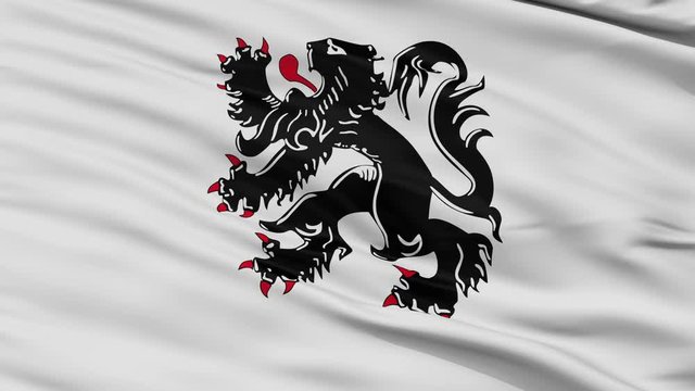 Binche closeup flag, city of Belgium, realistic animation seamless loop - 10 seconds long