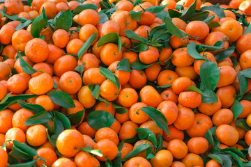 Mandarins with green leaves scattered dense layer. Natural fruit background pattern.