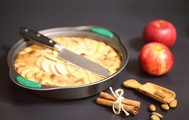 Preparation of apple pie at home. Homemade pastries with apples 