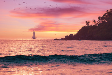 Summer beautiful seascape - pink sky at sunset, warm sea, sailboat on horizon, palm tree, birds...