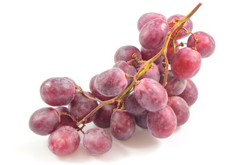 Red grape bunch, wine grapes isolated on white background, healthy fruit, Food concept.