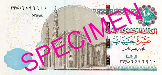 10 egyptian pound bank note full frame obverse
