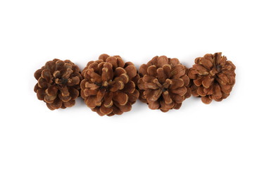 Pine cones isolated on white background, top view