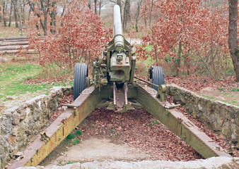 old German cannon on position