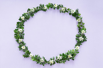Top view of flower frame isolated on white background, flat lay