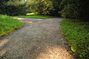 Alleys in the park. Crossroads alleys in the public park in summer season.