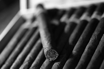 monochrome photo of large wooden box of cigars handmade Cuban