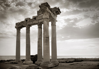 Fototapety na wymiar - Fototapeta24.pl