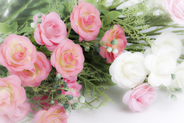 Pink and white roses