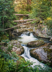 Summer landscape. Mountain stream.