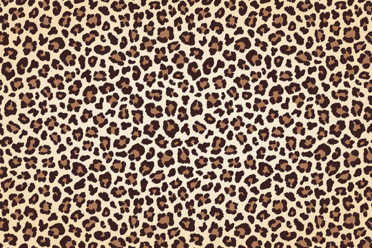 Leopard fur print, horizontal texture with dark borders. Vector