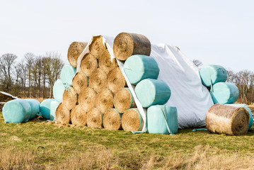Pyramid shaped stack of golden straw bales, with and without plastic cover. © imfotograf