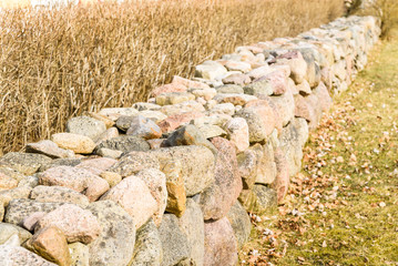 Granite stone wall beside a bare hedgerow. Shallow focus with blurred background.