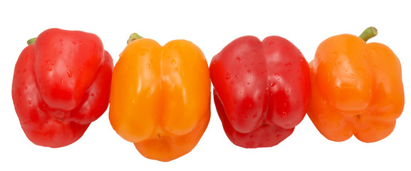 bell pepper