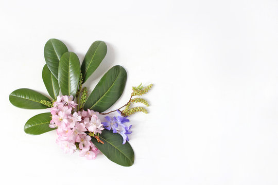 Spring botanical floral composition. Dcorative corner. Pink Japanese cherry blossoms, blue scilla flowers and evergreen English laurel branch isolated on white wooden background. Styled stock photo