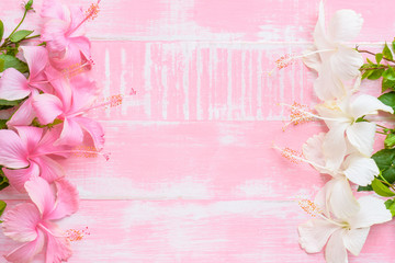 White Hibiscus rosa sinensis Flowers on a pastel bright pink wooden background. Spring and summer concept.