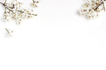 Fototapeta premium Spring prunus, cherry blossoms on a old white wooden table. Feminine still life floral composition, banner, flat lay, top view.